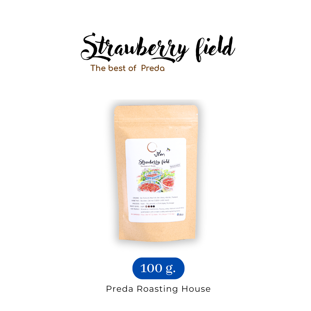 Strawberry field (เมล็ดกาแฟ Specialty LTLH) ;100g ราคา 390 บาท*ส่งฟรี