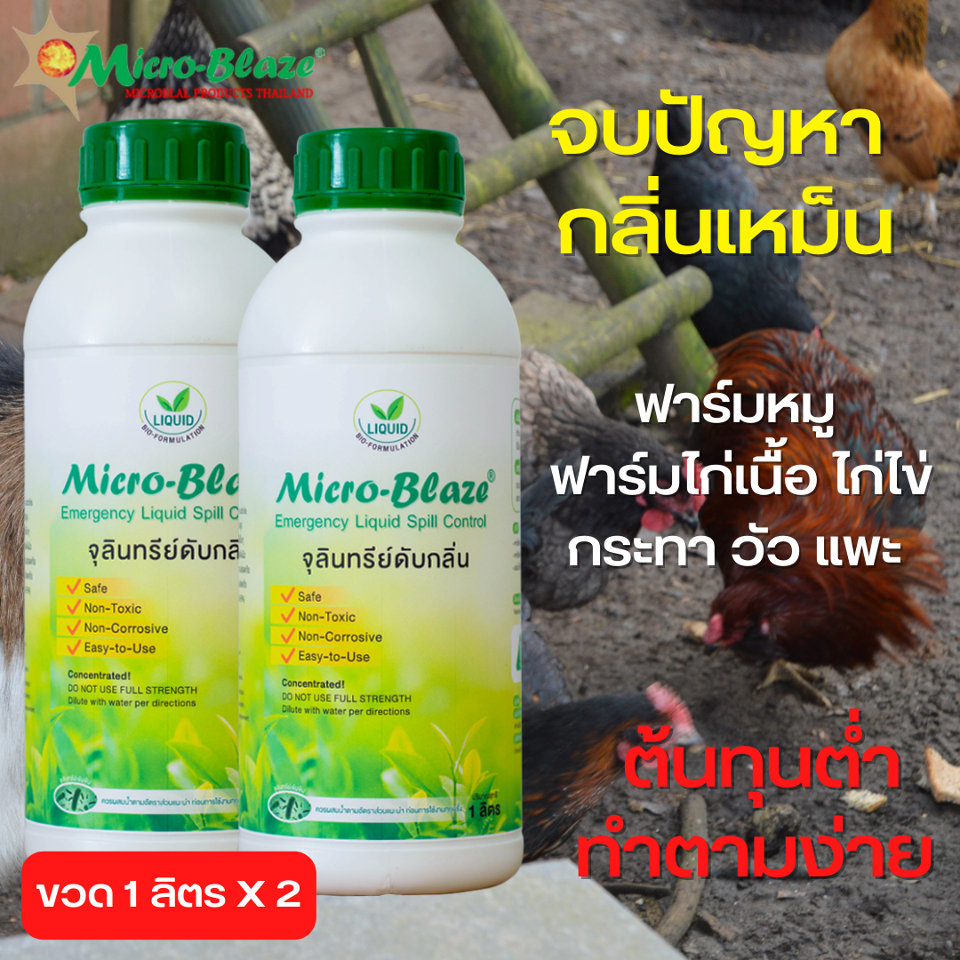 Micro-Blaze ELSC1000มล.แพ็ค2 หัวเชื้อจุลินทรีย์เข้มข้นจากอเมริกาแท้100% ดับกลิ่นเหม็น ในฟาร์มเลี้ยงสัตว์ ราคา 3,000 บาท*ส่งฟรี