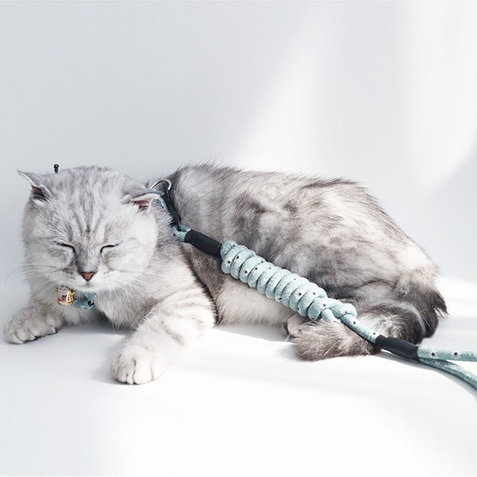 เชือกดึงแมวปลอกคอแมว เชือกจูง + สายรัดอก ปรับขนาดได้ คุณภาพดีเยียมป้องกันไม่ให้สัตว์เลี้ยงกัดคน Cat Leash Cat Pulling Rope