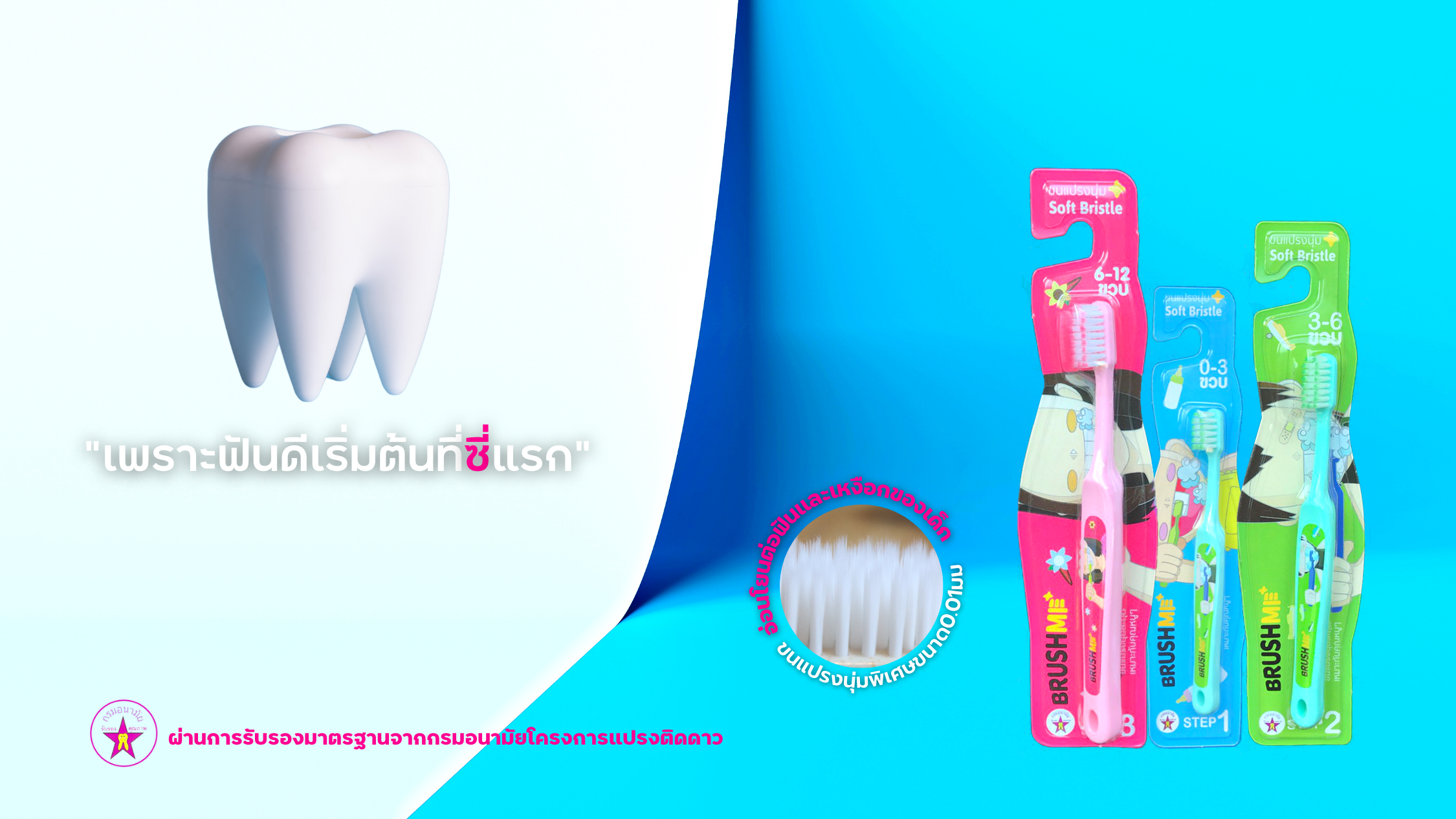 ข้อมูลเกี่ยวกับ แปรงสีฟันเด็กบลัชมี รุ่น Step3 6-12 ขวบ(แปรงสีฟัน,แปรงสีฟันขนนุ่ม,Br,Toothbrush)