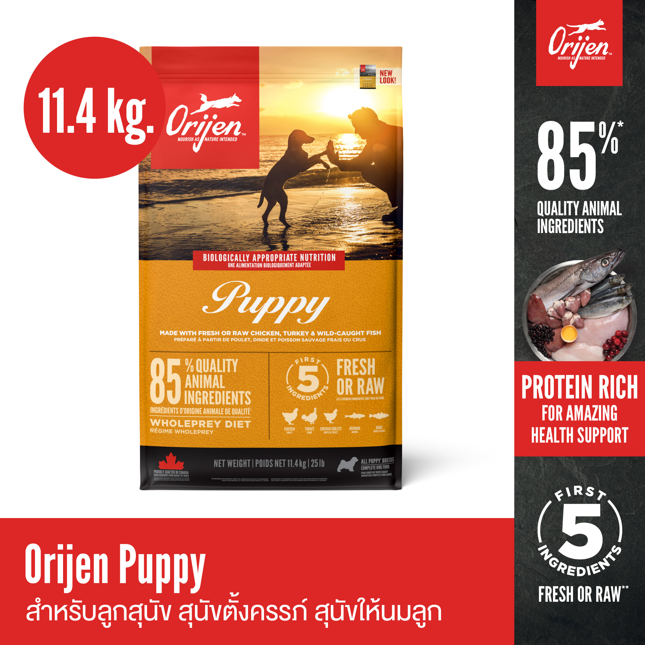 อุปกรณ์และอาหารสัตว์เลี้ยง Orijen Puppy 11.4 กิโลกรัม Puppy สำหรับลูกสุนัข สุนัขตั้งท้อง สุนัข ให้นมลูกของพวกเขา ราคา 4,190 บาท*ส่งฟรี