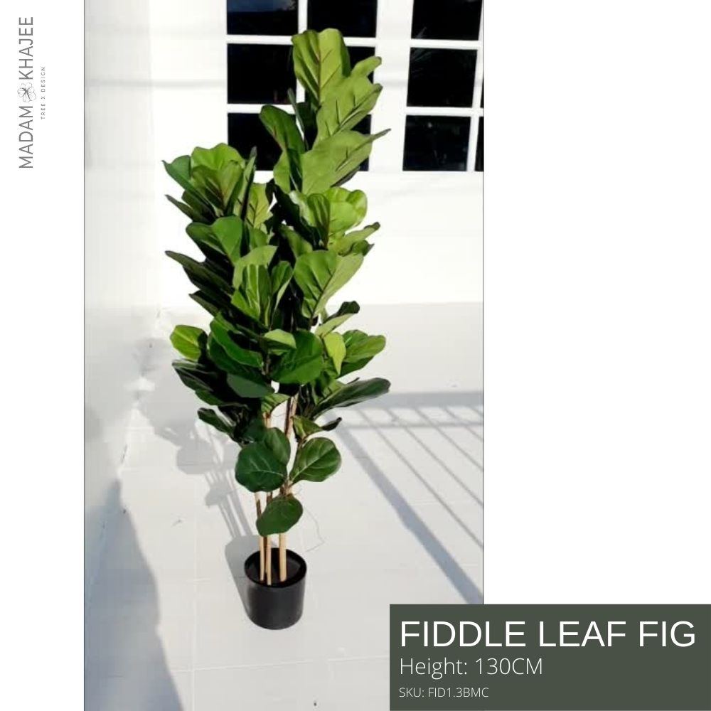 Artificial Fiddle Leaf Fig 130 cm - ต้นไทรใบสักเสมือนจริง สูง130ซม. ต้นไม้ปลอมสวย เกรดพรีเมี่ยมเพื่อการตกแต่ง ต้นไม้ใหญ่ ต้นไม้แต่งบ้าน มาดามขจี Madam Khajee ราคา 4,250 บาท*ส่งฟรี