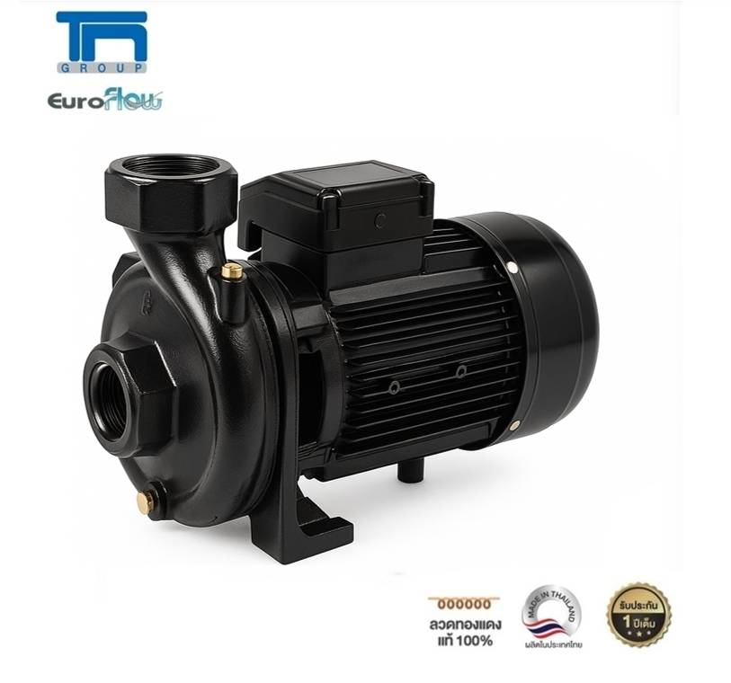 Euroflow Centrifugal Pump, Model Wc300, 3Hp, Pipe 2 Inches X 2 Inches, 3 Horsepower. ราคา 11,889 บาท*ส่งฟรี