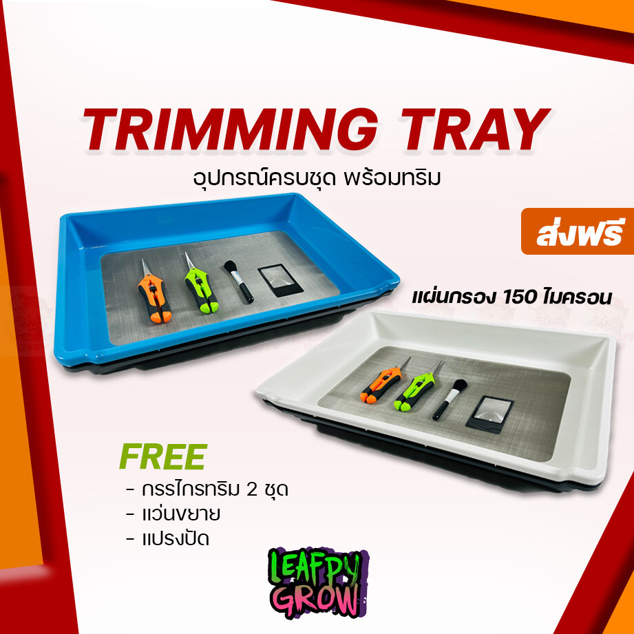 Trimming Tray ราคาถูก ซื้อออนไลน์ที่ - ม.ค. 2024