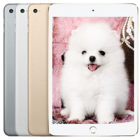 Uesd Apple iPad Mini 4 16/32 // 64GB WiFi/WiFi + 4G 2015 iPad Mini รุ่นที่สี่7.9นิ้วประมาณ90% ใหม่