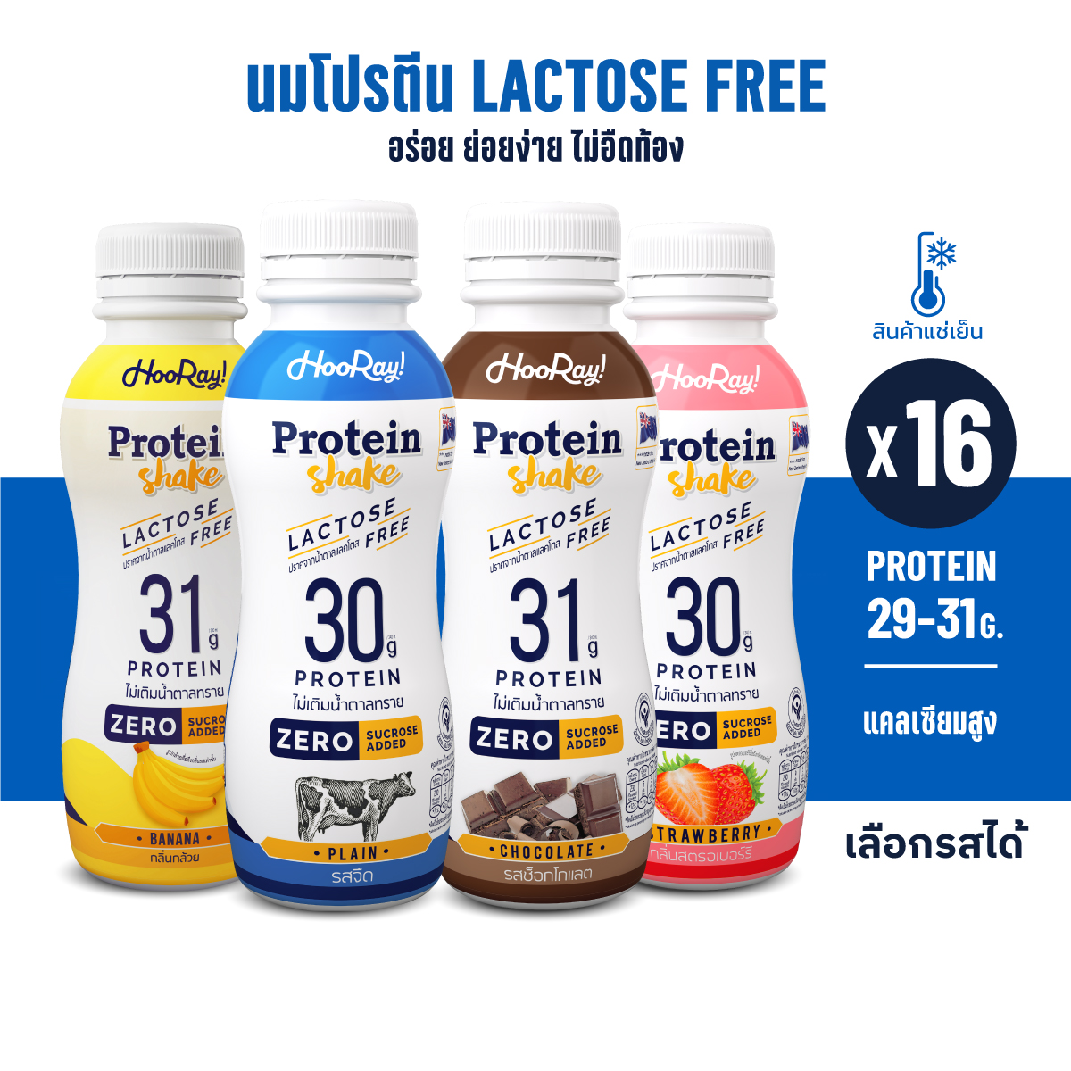 Hooray! Protein Shake Lactose Free นมโปรตีนสูตรเวย์ Pack 16 ขวด ราคา 784 บาท*ส่งฟรี