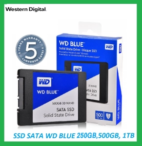 ภาพหน้าปกสินค้าจัดส่งในพื้นที่ WD BLUE SSD(เอสเอสดี) 250GB,500GB,1TB WD BLUE SATA 3D NAND รับประกัน 5 ปี ซึ่งคุณอาจชอบสินค้านี้