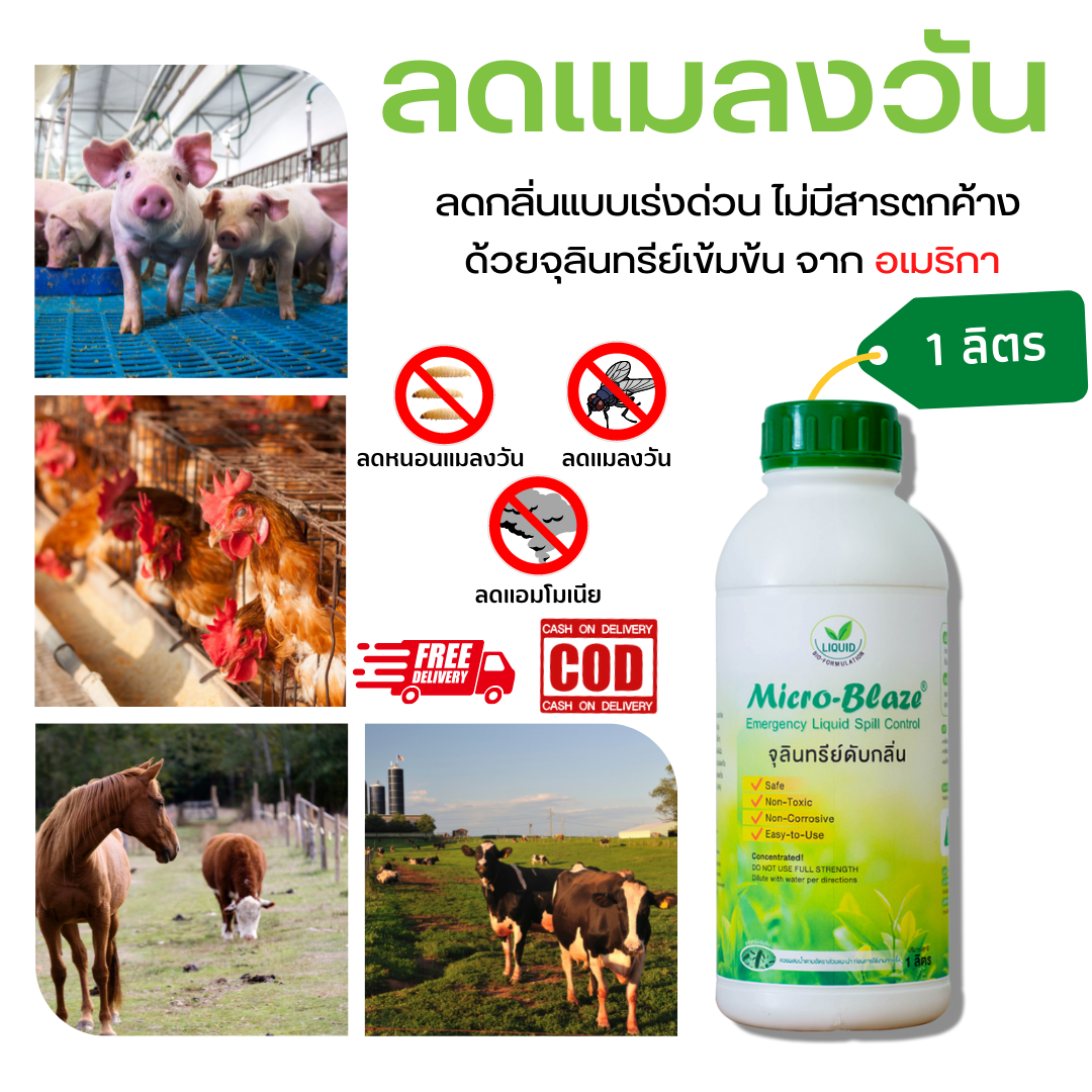 Micro-Blaze ELSC1000ml. หัวเชื้อจุลินทรีย์เข้มข้นจากอเมริกา ลดแก๊สแอมโมเนียในฟาร์มเลี้ยงสัตว์ ดับกลิ่นเหม็นลดลงทันทีที่ใช้ ราคา 1,550 บาท*ส่งฟรี