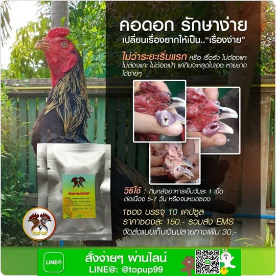 ยารักษาไก่ชน คอดอก