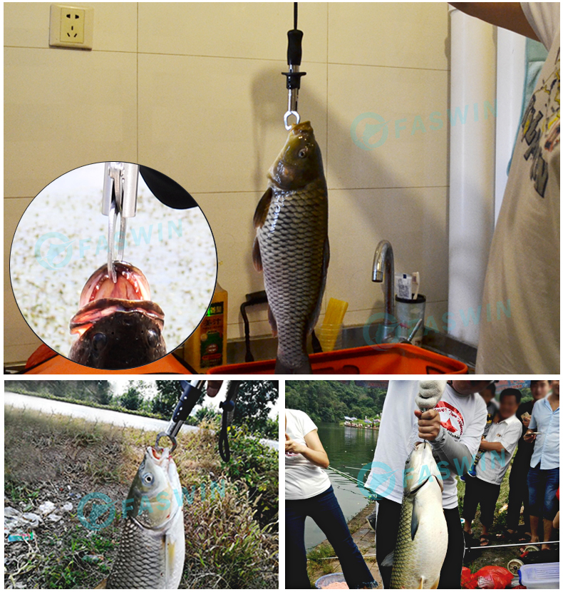 คำอธิบายเพิ่มเติมเกี่ยวกับ 【Faswin】อุปกรณ์ตกปลา คีมสำหรับตกปลา ครีมจับปากปลา กิ๊บตกปลา กริปเปอร์ คีมปลดเบ็ดปลา ที่คีบปลา คิบเปอร์จับปลา คลิปเปอร์ตกปลา คิปเปอร์จับปลา กิ๊ปเปอร์ตกปลา คีปเปอร์จับปลา กิปเปอร์ คริปเปอร์ คีบเปอร์จับปลา อุปกรณ์ตกปลาคบชุด Fish Gripper Fishing Tool