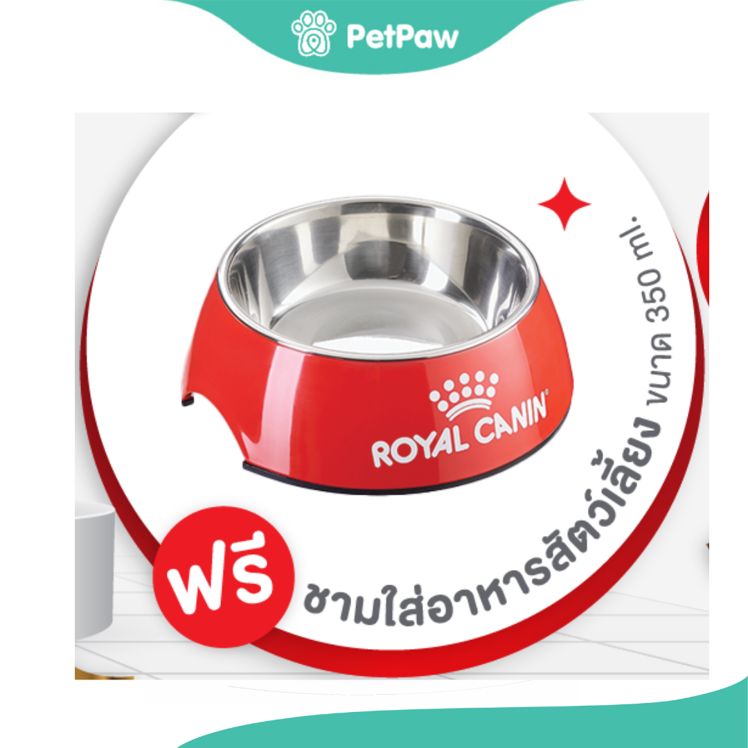 (ของแถม) ชาม royal canin เมื่อซื้อ royal canin indoor 4kg ราคา 9,999 บาท*ส่งฟรี