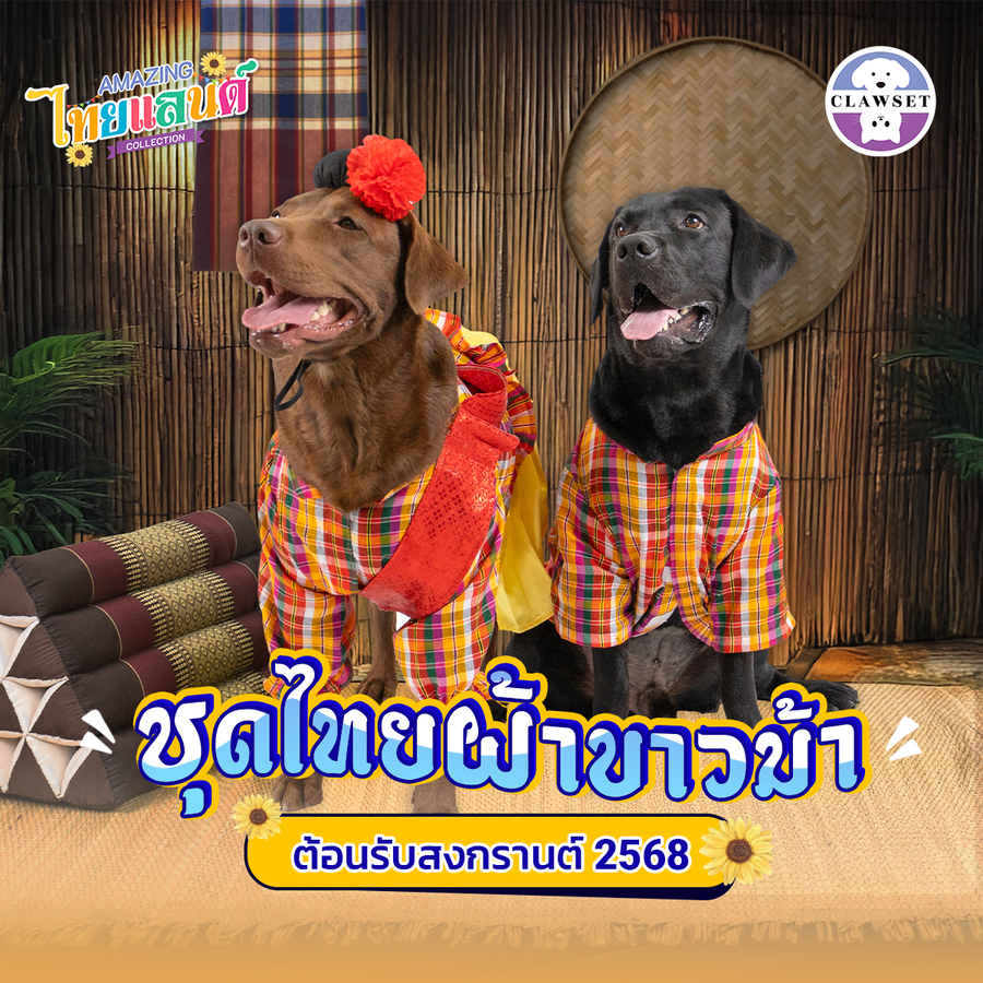 ชุดสงกรานต์ 2025 ชุดไทยผ้าขาวม้า Amazing Thailand Collection เสื้อผ้าสัตว์เลี้ยง | CLAWSET.BKK ราคา 449 บาท*ส่งฟรี