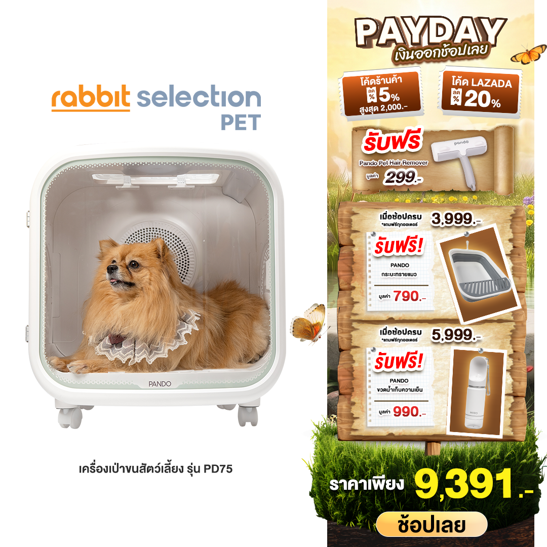 (Free Gift + Discount Code up to 2,000.-) Pando Pet Dryer Room Pd75, Hair Dryer for Pets, Model Pd75 ราคา 11,990 บาท*ส่งฟรี