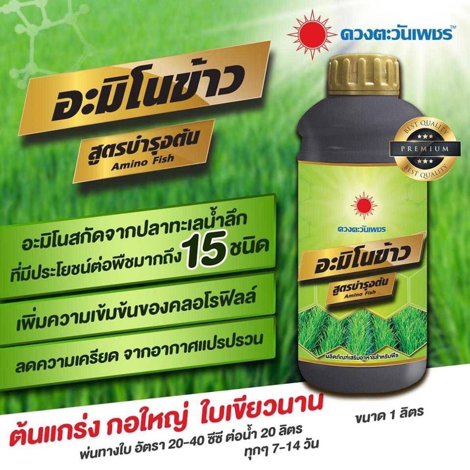 อะมิโนข้าว สูตรบำรุงต้น (ชนิดน้ำ) สูตรบำรุงต้น บำรุงกอ แตกราก แตกราก ต้นแกร่งกอใหญ่ ใบใหญ่ ใบหนา ใบเขียว ขนาด 1 ลิตร ราคา 320 บาท*ส่งฟรี