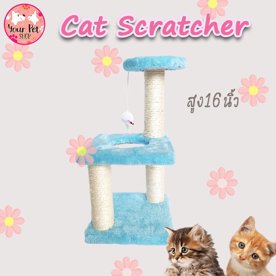 ที่ฝนเล็บ ที่ฝนเล็บแมว ที่ลับเล็บแมว Cat Scratcher ราคาถูก รุ่น 2 ชั้น ขนาด 16x8x8 นิ้ว by Your Pet Shop