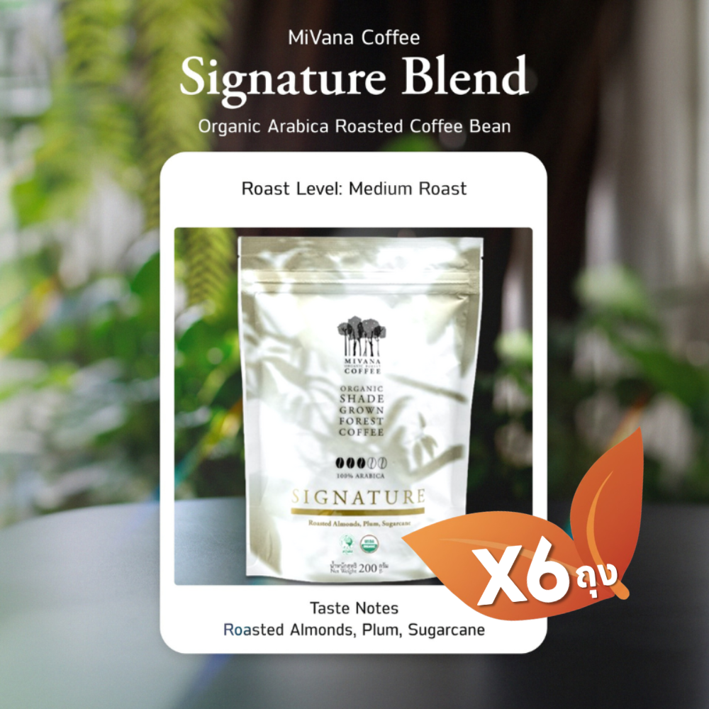 Mivana Coffee Signature Blend Roasted Bean (Medium Roast) - Organic Arabica Coffee Beans 200g. (Carton 6 bags) #61110102 ราคา 2,050 บาท*ส่งฟรี