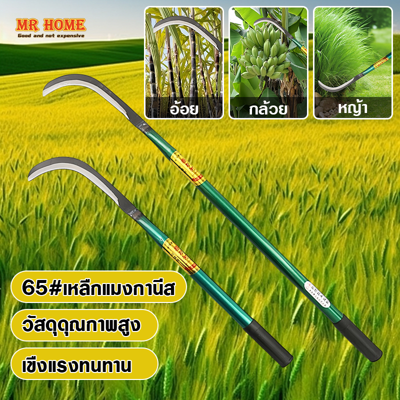 คมกริบ เหล็กแมงกานิส มีดพร้า มีดขอชัก มีดขอชักกล้วย ตัดแต่งใบกล้วย มีดตัดกล้วย มีดทำสวน มีดตัดแต่งกิ่งไม้ ด้ามยาว ราคา 78 บาท*ส่งฟรี