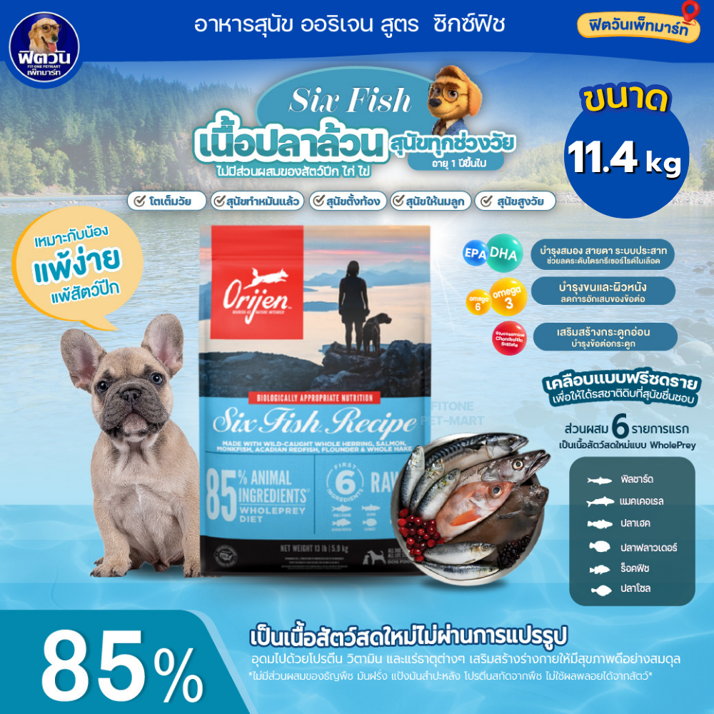 อุปกรณ์และอาหารสัตว์เลี้ยง Orijen ออริเจน 6 ปลาสุนัข 11.4 กก ราคา 4,079 บาท*ส่งฟรี
