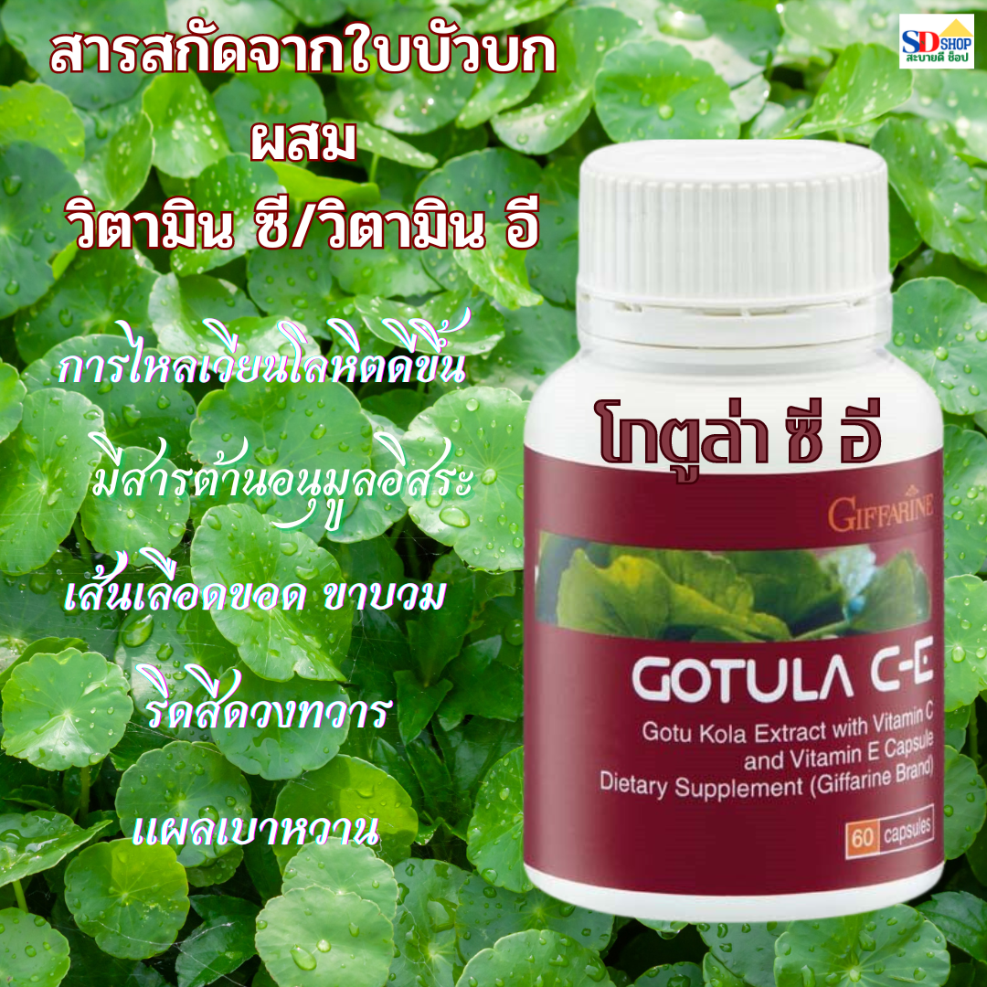 Free shipping coronary hemorrhoids, diabetes, giffarine, gotuila, CE, extracted from Centella, vitamin C ราคา 400 บาท*ส่งฟรี