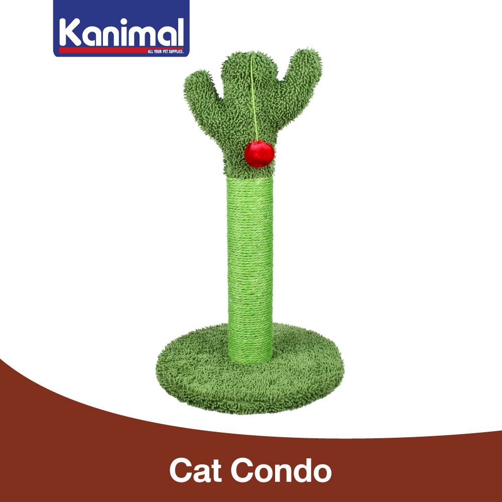 Kanimal Cat Toy Cactus Tree Scratcher Cactus Tree With Jumbo Catching Soft Ball For Cats Size L 65x40x40 cm. ราคา 799 บาท*ส่งฟรี