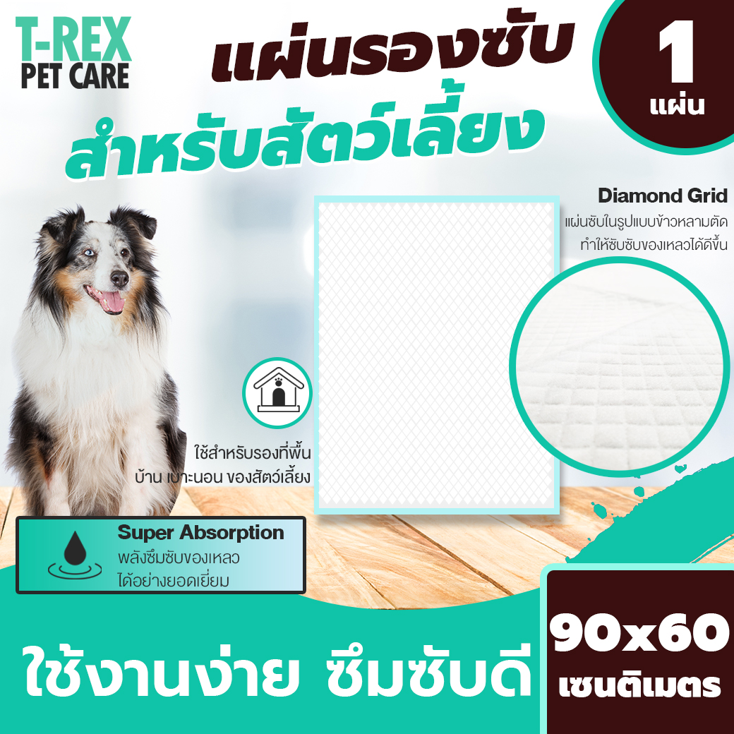 แผ่นรองซับสุนัข และ  สัตว์เลี้ยง แผ่นซับปัสสาวะ ฉี่ สุนัข Pet Urine Pad ดูดซับของเหลว ปัสสาวะ ได้ดี สามารถเลือกได้ 2 ขนาด