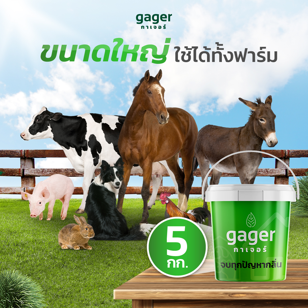 Gager (กาเจอร์) ผงดับกลิ่นทรายแมว ผงดับกลิ่นแมว ผงดับกลิ่นหมา ผงดับกลิ่นฉี่ ผงกำจัดกลิ่น ดับกลิ่นห้องน้ำ ดับกลิ่นภายในบ้าน (5kg) ราคา 4,990 บาท*ส่งฟรี
