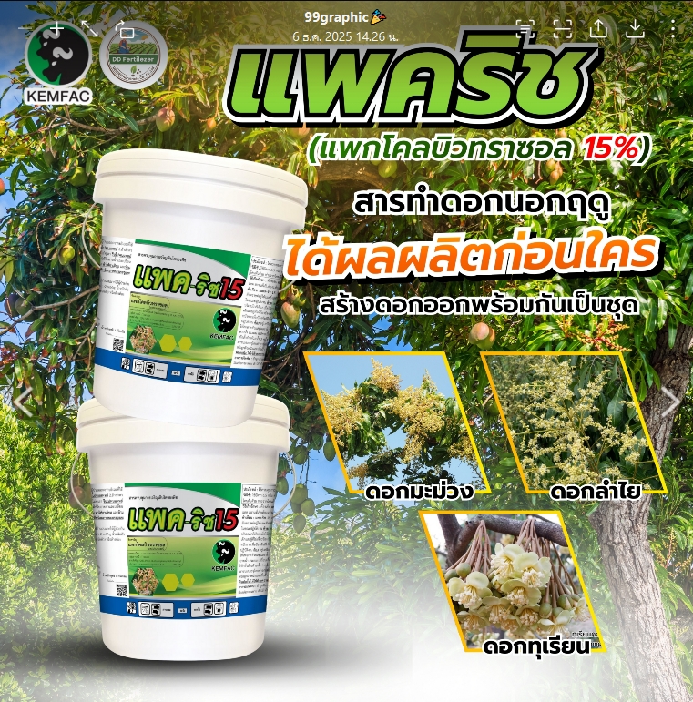 Pakrich 15% # Pack of Colbitrazole 15% (10kg Bucket) Flowering Agent, Produces Yields before Other Seasons. Creates Flowers Simultaneously in Sets, Durian, Mango # Double Bull Brand ราคา 1,288 บาท*ส่งฟรี