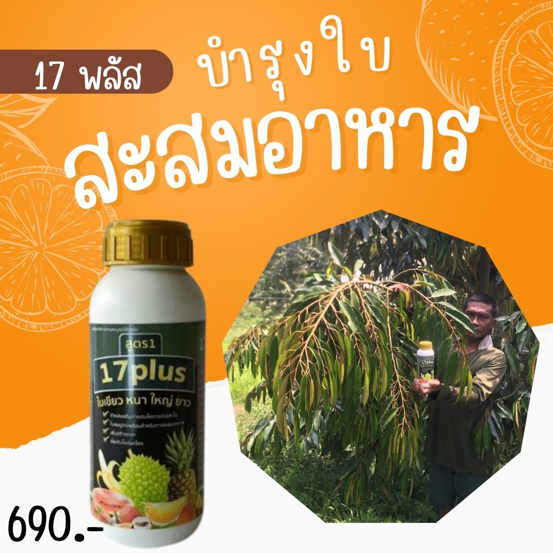 17 Plus 17 พลัส ชุดทำใบสะสมอาหาร ใบใหญ่ ใบหนา ใบใหญ่ สังเคราะห์แสงไปเลี้ยงลำต้น ดอกและผลให้สมบูรณ์ ราคา 5,400 บาท*ส่งฟรี