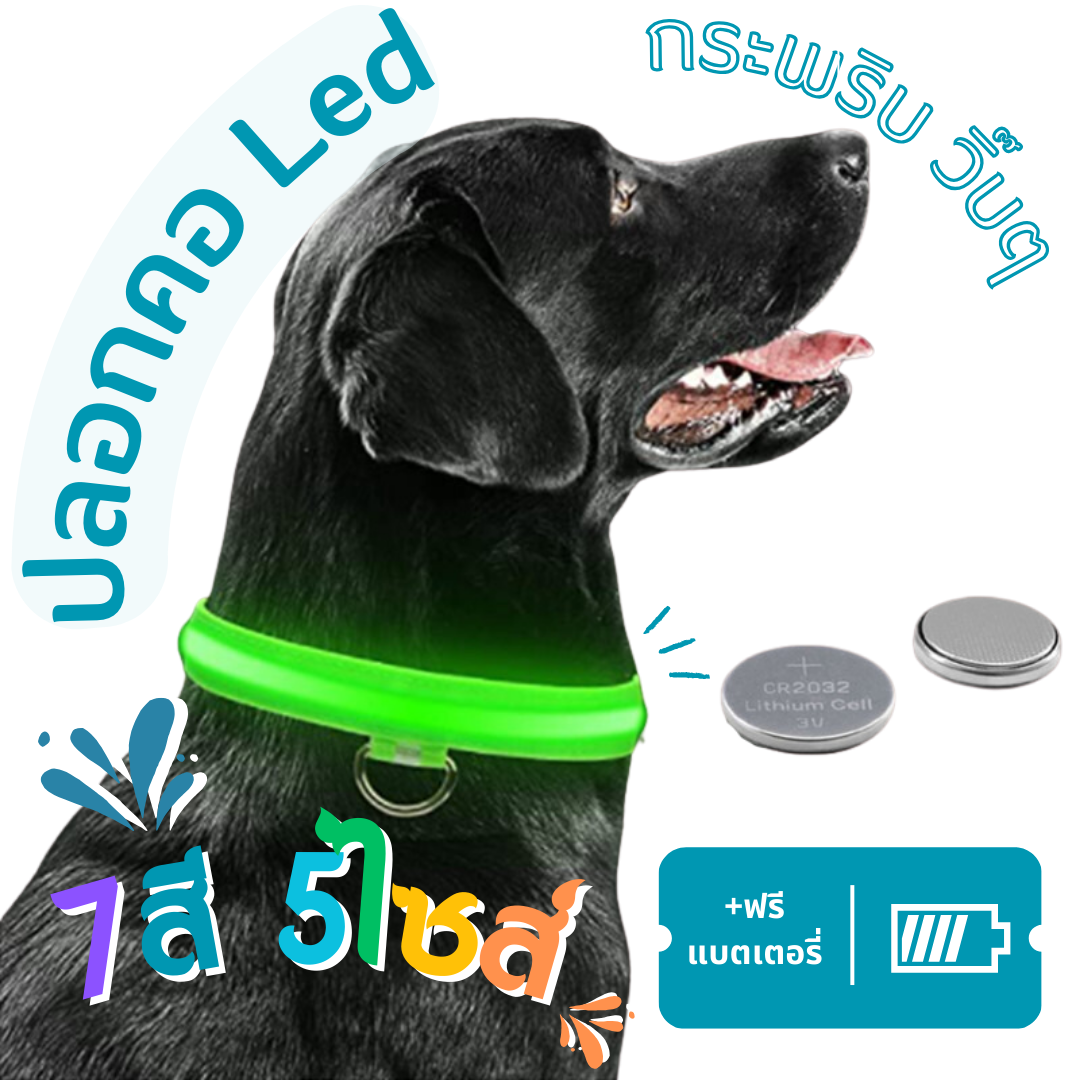 Hittime USB Rechargeable Dog Anti Lost Safety Glowing Collar Pendant  Outdoor Waterproof LED Flashing Light for Pet Cats