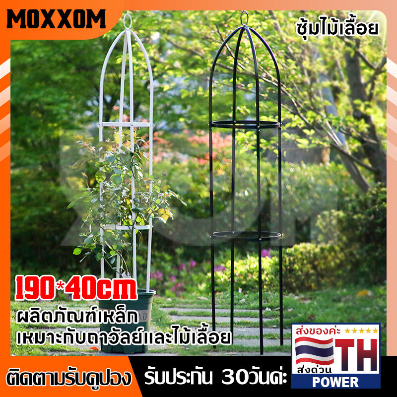 สูง 190cm!MOXXOM ซุ้มไม้เลื้อย โครงกุหลาบเลื้อย ซุ้ม น้ำหนักเบา ซุ้มโครงเหล็ก สีดำอมเขียว สีขาว วัสดุหนา ซุ้มต้นไม้ ประกอบง่าย โครงไม้เลื้อ ราคา 249 บาท*ส่งฟรี