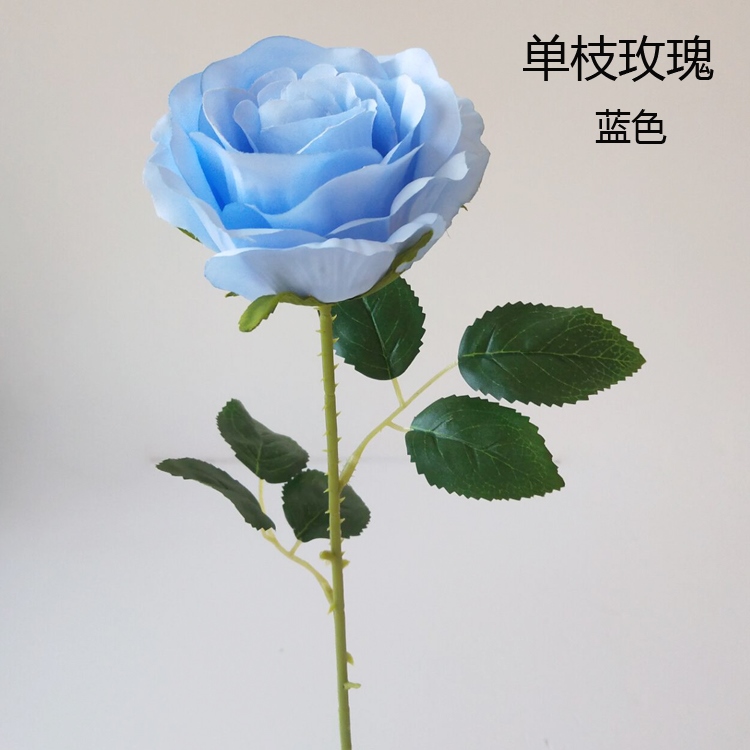 https://th-live-01.slatic.net/p/d08e23a9f29fbfd722d6787badd53332.jpg