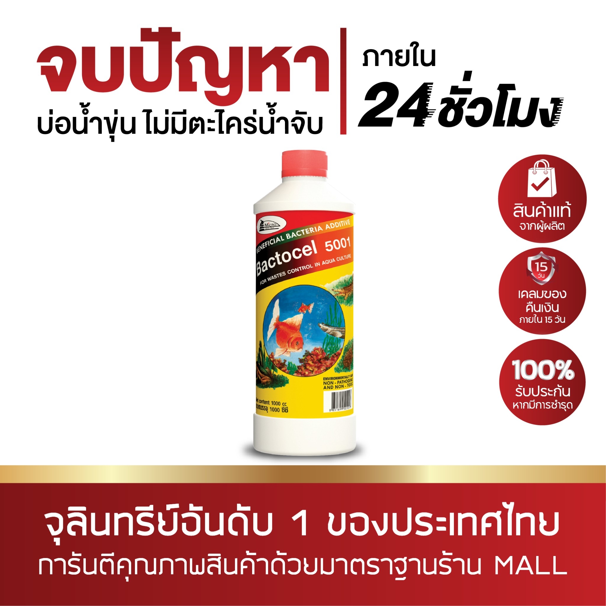 จุลินทรีย์รักษาสภาพน้ำในบ่อปลา BACTOCEL 5001 1000cc 1 ขวด กลิ่นเหม็นในบ่อปลา รักษาน้ำในบ่อ น้ำใส ลดแอมโมเนีย ไนเตรท ไนไตรท์ ราคา 279 บาท*ส่งฟรี
