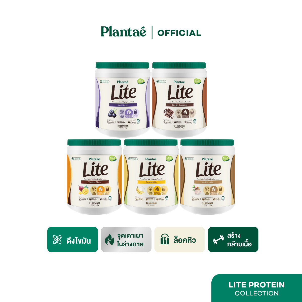 Plantae Lite Protein Jar 660g Plant Protein Controls Hunger L-Carnitine L-Carnitine Plant Protein Green Tea