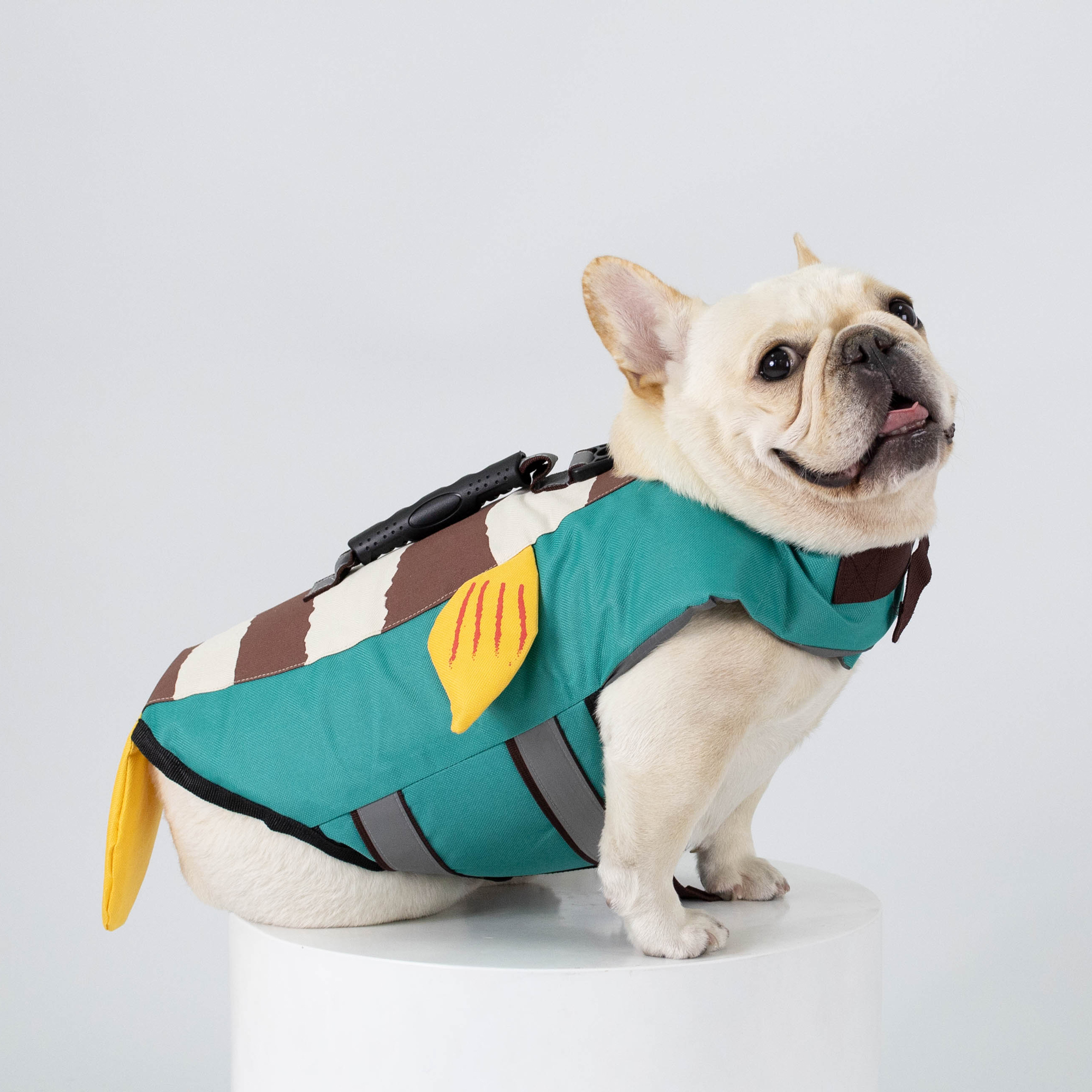 เสื้อชูชีพสัตว์เลี้ยง - ปลาฟ้า Life jacket | Clawset.bkk ราคา 650 บาท*ส่งฟรี