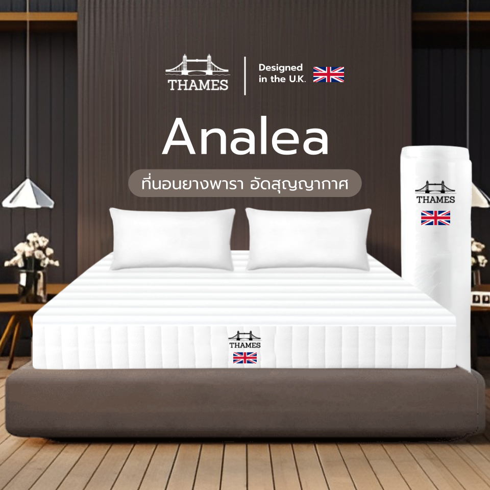 Thames (อัดสุญญากาศ) ที่นอนยางพาราแท้ แก้ปวดหลัง แก้ปวดเมื่อย แถมหมอนยางพาราแท้ รุ่น Analea หนา 6 นิ้ว ราคา 1,699 บาท*ส่งฟรี