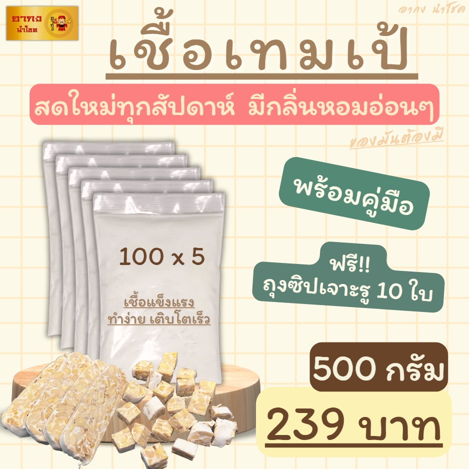 สอน วิธีทำ เทมเป้ อุปกรณ์