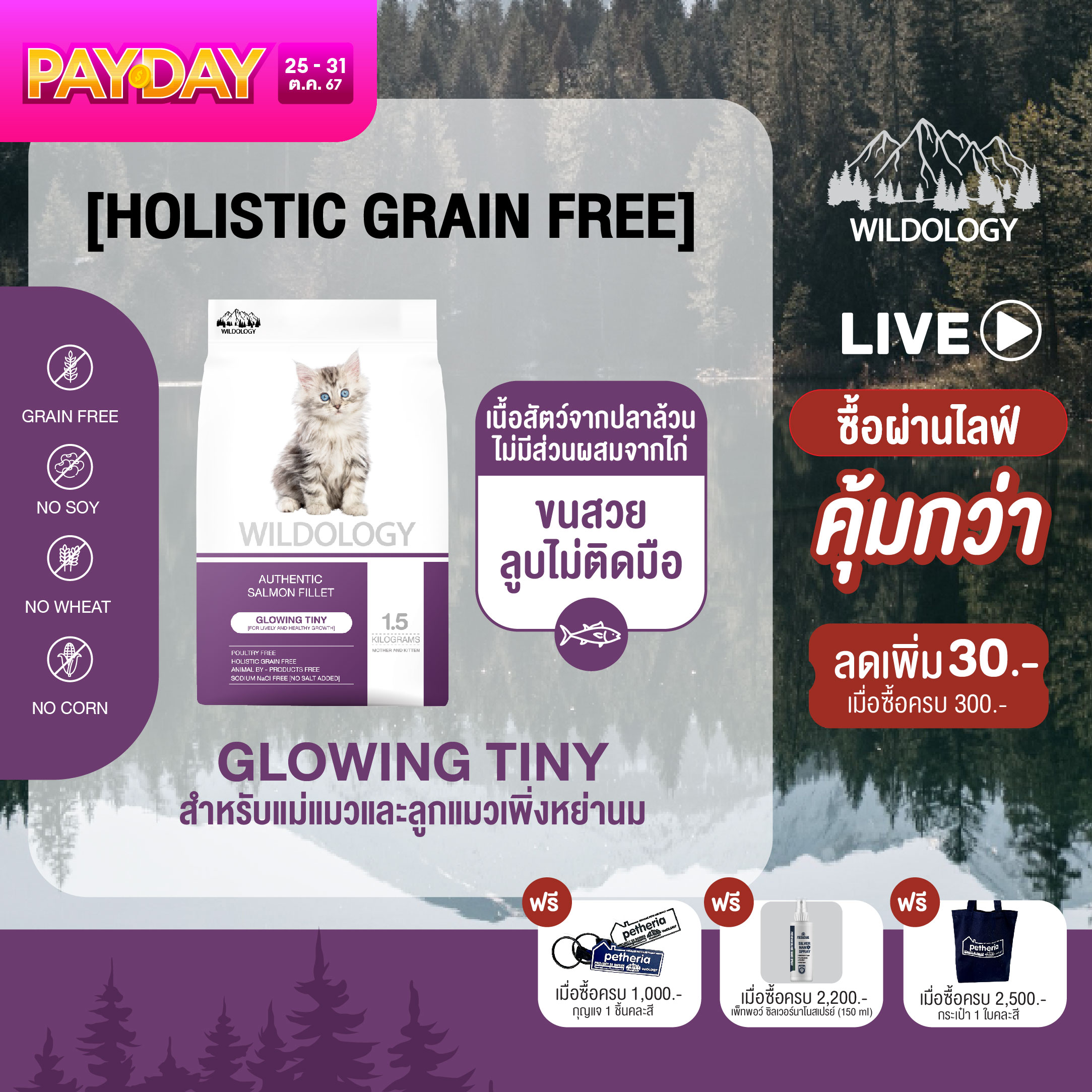 อาหารแมวแบบเม็ด โฮลิสติกเกรนฟรี ไวลด์โอโลจีสำหรับแม่แมวและลูกแมวหย่านม จากเพ็ทเทอเรีย ราคา 321 บาท*ส่งฟรี