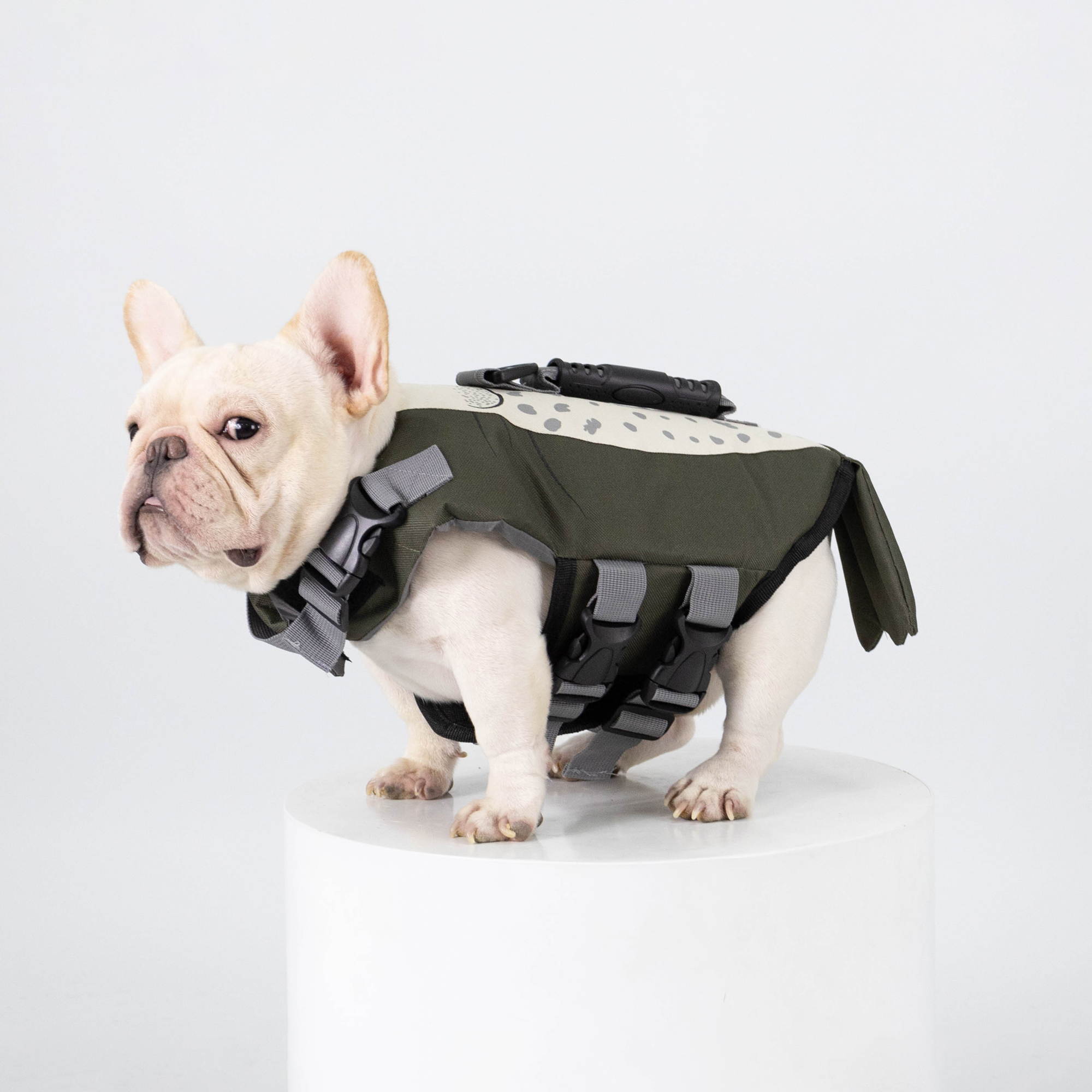 เสื้อชูชีพสัตว์เลี้ยง - แมวน้ำ Life jacket | Clawset.bkk ราคา 650 บาท*ส่งฟรี