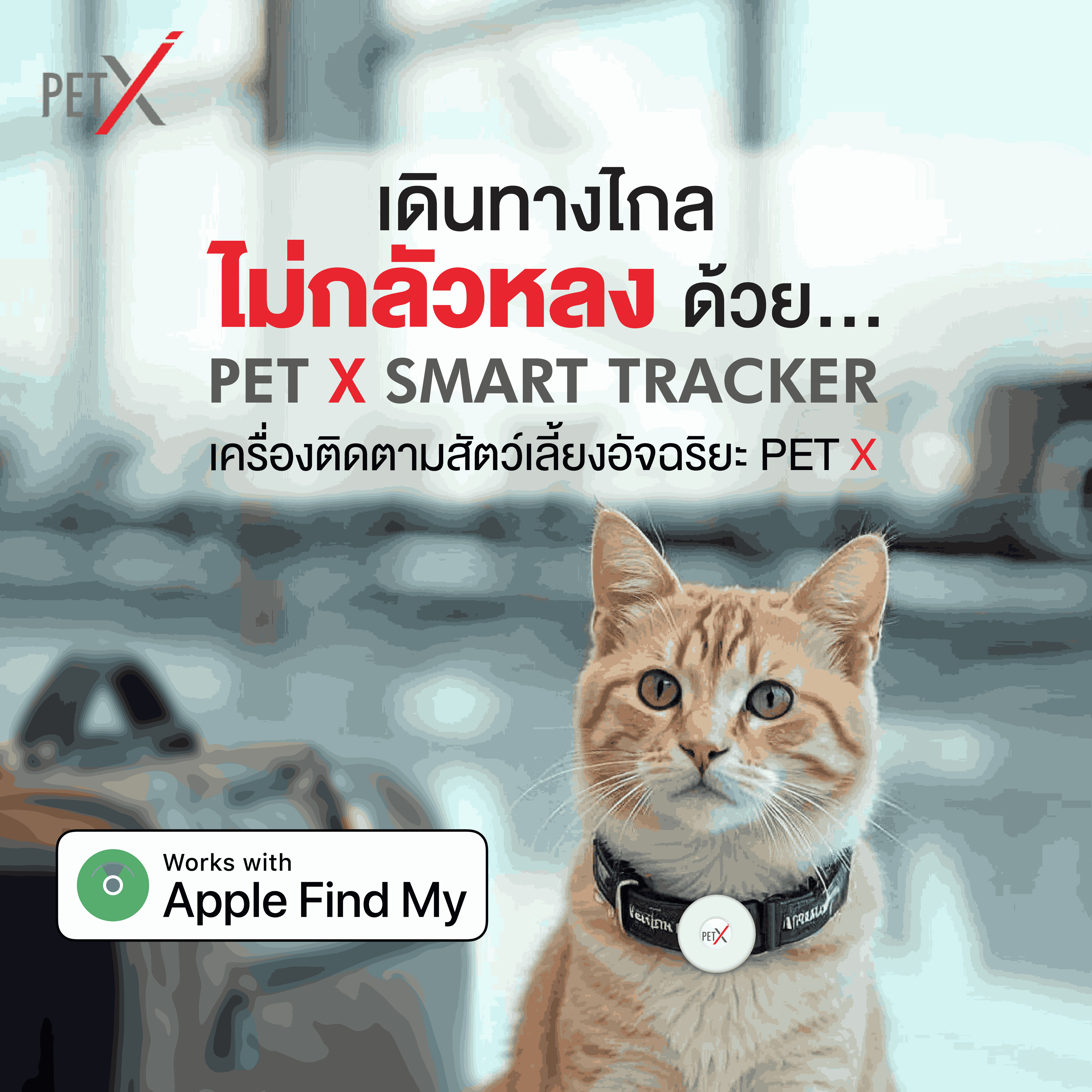 PET X : PetX Smart Tracker เครื่องติดตามสัตว์เลี้ยงอัจฉริยะ ราคา 399 บาท*ส่งฟรี