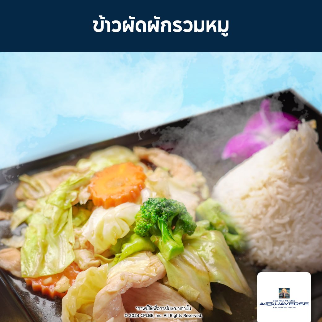 [E-Voucher] Columbia Pictures Aquaverse - บัตรอาหารใช้ภายในสวนน้ำ ข้าวผัดผักรวมหมู 1 จาน ราคา 405 บาท*ส่งฟรี