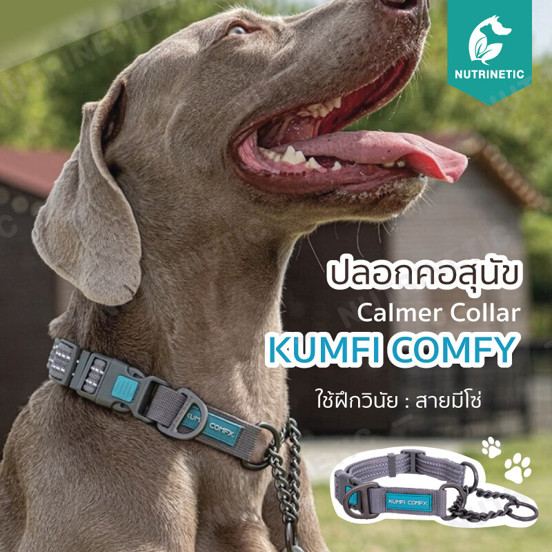 Kumfi calmer dog outlet lead