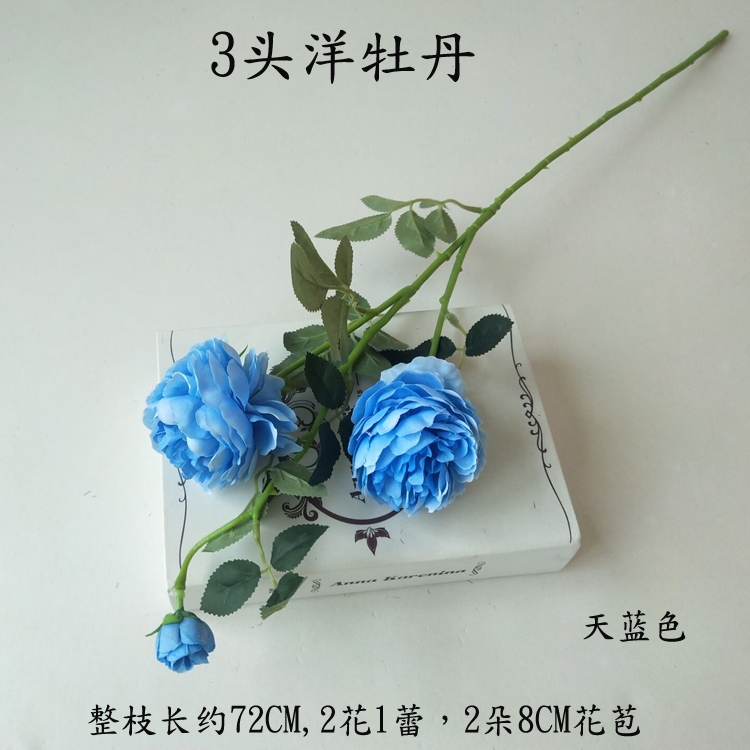 https://th-live-01.slatic.net/p/d66a76943c0db9d8fd98a47fb2034a3e.jpg