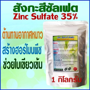 สินค้า สังกะสีซัลเฟต 35% Zinc Sulfate เป็นธาตุอาหารพืช ช่วยสร้างฮอร์โมนพืช ช่วยต้านทานอากาศหนาว ร้อน แล้ง สังเคราะห์แสงได้ดี พืชใบเขียวเข้ม
