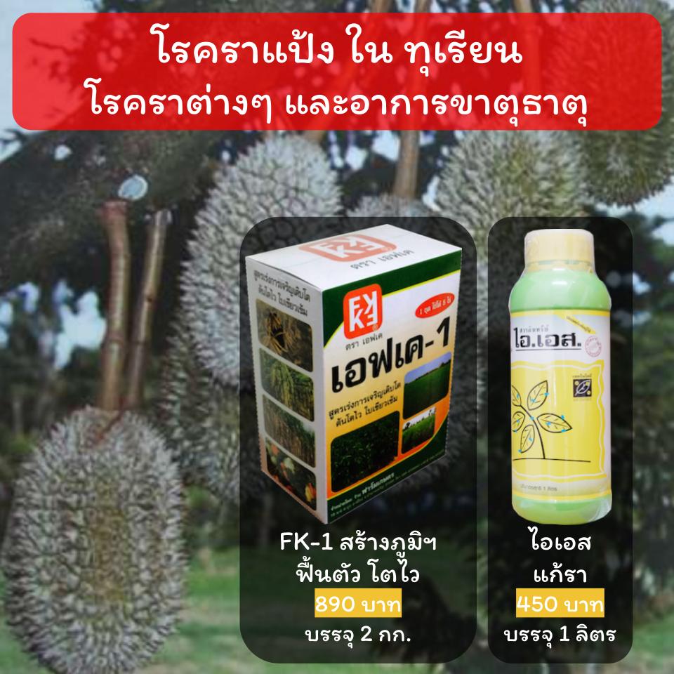 ราแป้งทุเรียน ป้องกันvกำจัด ฟื้นฟูบำรุง ทุเรียน ไอเอส สารอินทรีย์ + FK1 ประสิทธิภาพสูง โปรดอ่านรายละเอียด เพื่อการใช้ที่ถูกต้อง ราคา 499 บาท*ส่งฟรี