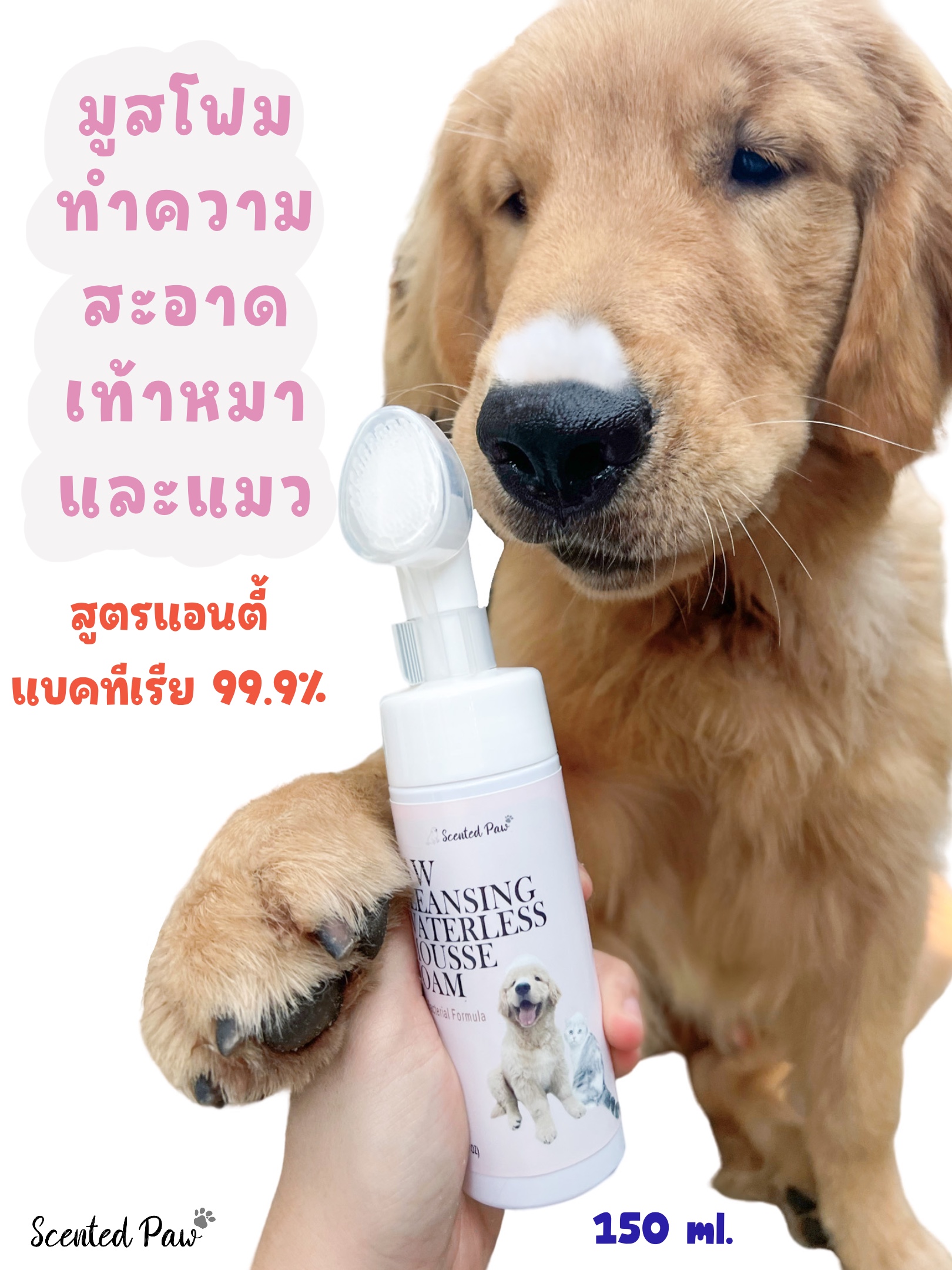 Paw cleansing waterless mousse foam anti bacteria 99.9% ราคา 139 บาท*ส่งฟรี