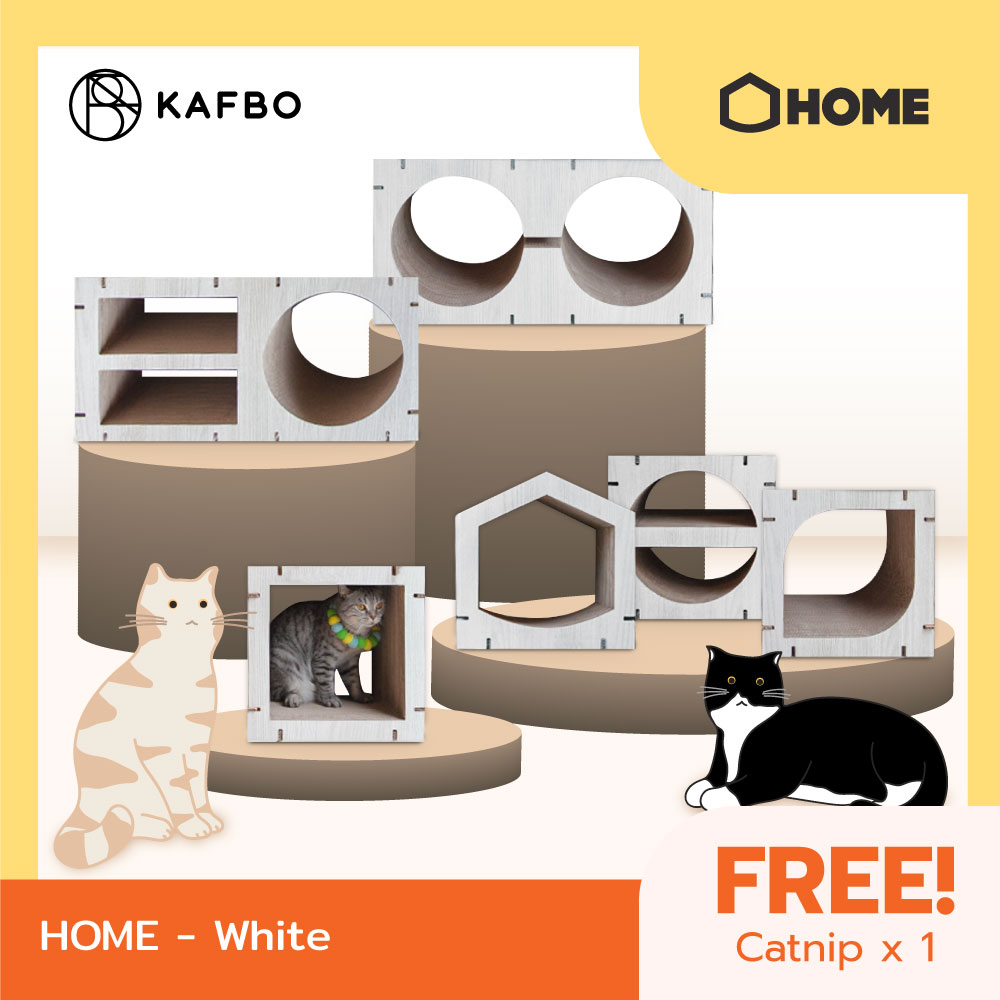 HOME – WHITE Cat Furniture Cat Scratcher Cat Toy Cat House ราคา 579 บาท*ส่งฟรี