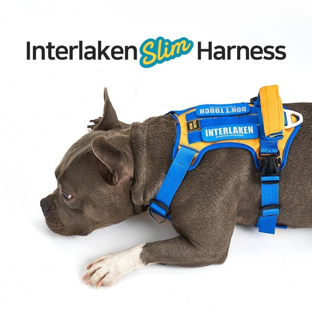 NTP - สายรัดอก Interlaken Slim harness 2.0 ราคา 1,458 บาท*ส่งฟรี