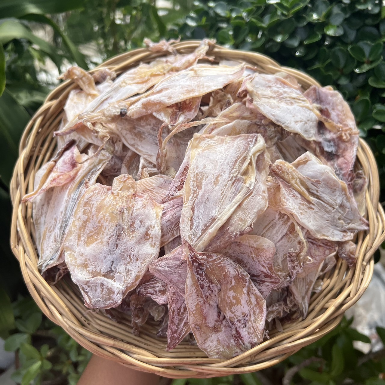 หมึกผ่า G4 ตัวขาวสวยใส ไม่เค็มไม่ขม สดใหม่ทุกวัน ของฝากจากทะเลปากน้ำปราณ ราคา 149 บาท*ส่งฟรี