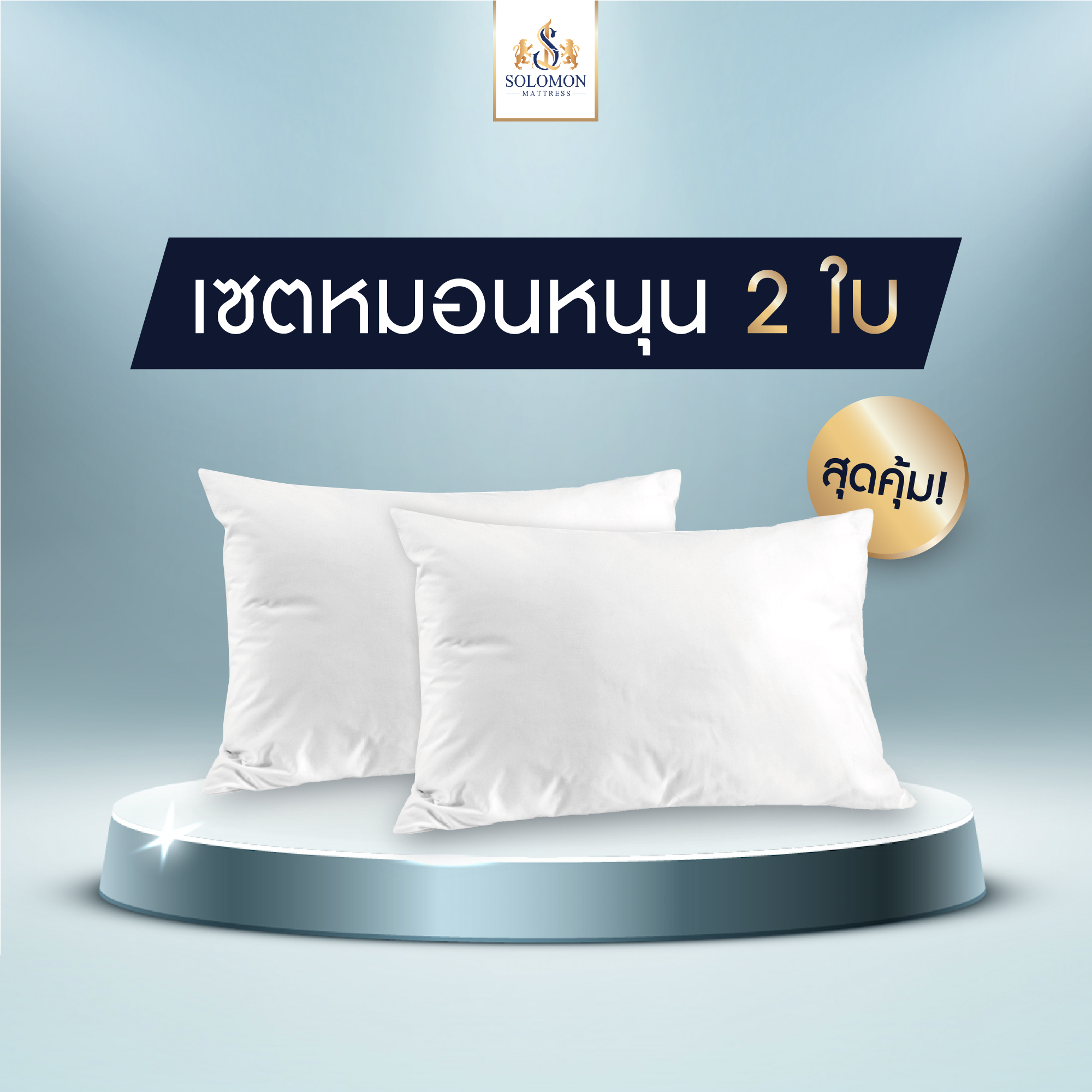 Solomon, two pillow for health, anti-mite ราคา 209 บาท*ส่งฟรี