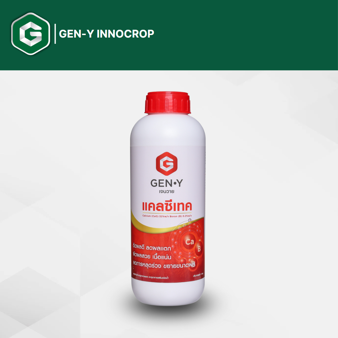 แคลซีเทค 1L. (แคลเซียม-โบรอนสูตรเข้มข้น) รูปแบบน้ำใส ช่วยสะสมอาหาร สร้างแป้ง ขั้วเหนียวลดการหลุดร่วง เนื้อแน่น ราคา 350 บาท*ส่งฟรี